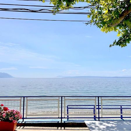 Αγκυροβόλιο Hotel Ilia Bagian luar foto