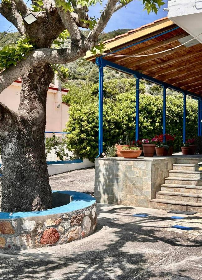 Αγκυροβόλιο Hotel Ilia Bagian luar foto