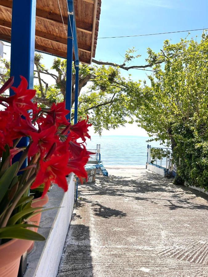 Αγκυροβόλιο Hotel Ilia Bagian luar foto